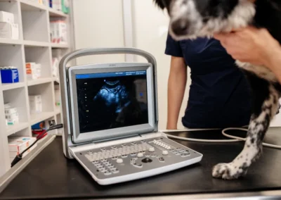 Ultrazvukový diagnostický přístroj
